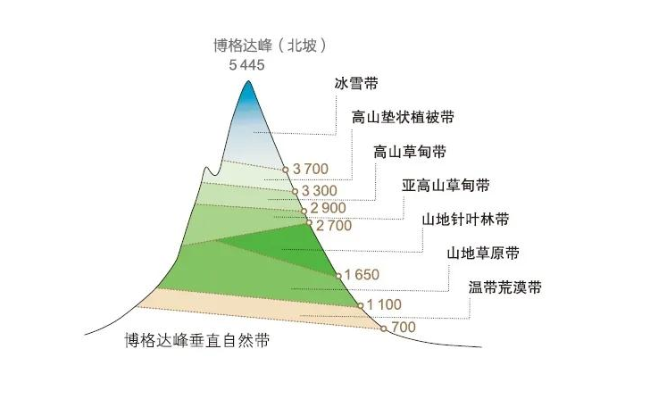 天山垂直自然带谱