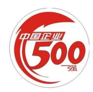 中国企业500强
