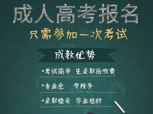 成人高等学校招生全国统一考试