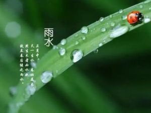 雨水