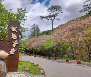 台湾武陵风景区